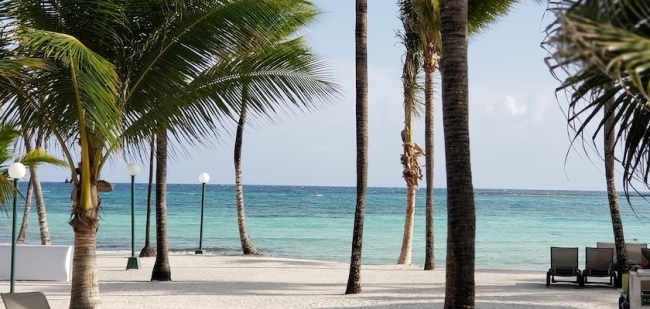 Costa Mujeres  - mexico - SALIDAS ENERO Y FEBRERO 